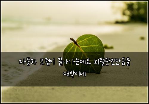 ์๋์ฐจ ๋ณดํ์ด ๋๋๊ฐ๋๋ฐ์ ๋ํ๊ด์ง๋จ๊ธ์ ๋๋ฐ์ด๋ค
