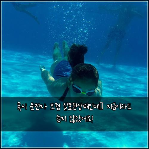  혹시 운전자 보험 실효된상태인데… 지금이라도 늦지 않았어요!