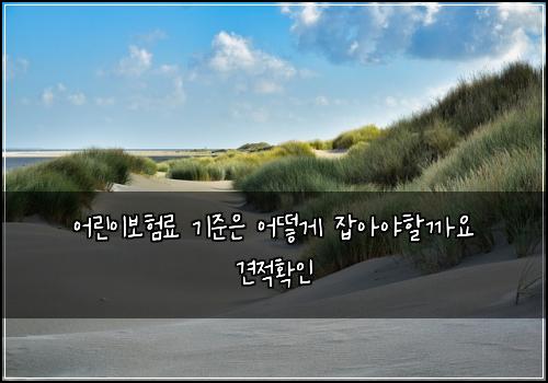 어린이보험료 기준은 어떻게 잡아야할까요 견적확인