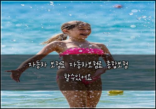 자동차 보험료 자동차보험료 종합보험 할수있어요