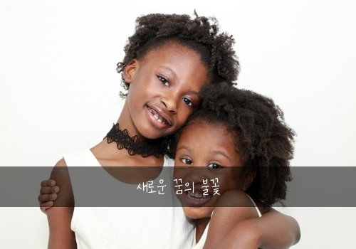 새로운 꿈의 불꽃