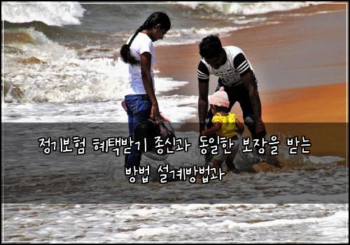 정기보험 혜택받기  종신과 동일한 보장을 받는 방법 설계방법과