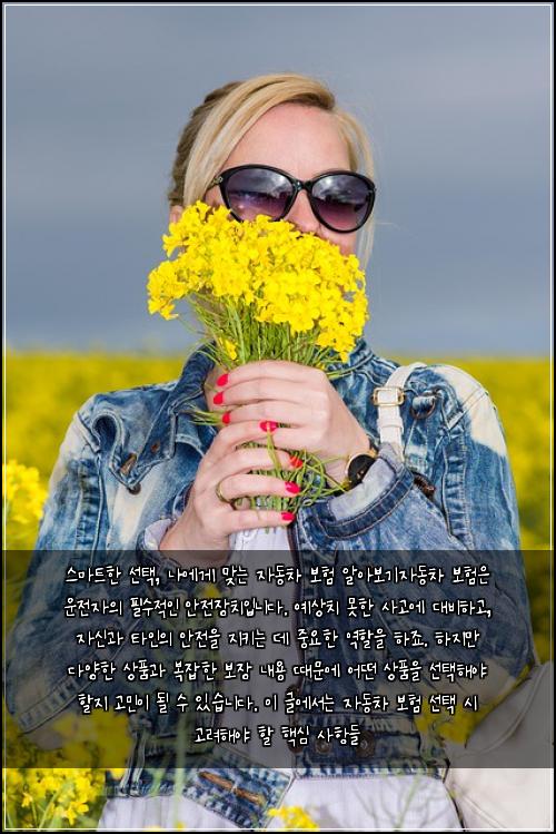  스마트한 선택, 나에게 맞는 자동차 보험 알아보기

자동차 보험은 운전자의 필수적인 안전장치입니다. 예상치 못한 사고에 대비하고, 자신과 타인의 안전을 지키는 데 중요한 역할을 하죠. 하지만 다양한 상품과 복잡한 보장 내용 때문에 어떤 상품을 선택해야 할지 고민이 될 수 있습니다. 이 글에서는 자동차 보험 선택 시 고려해야 할 핵심 사항들