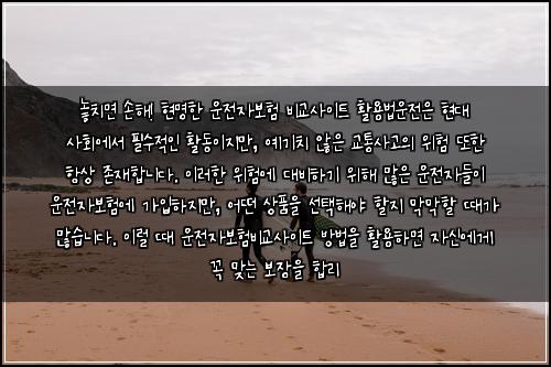  놓치면 손해! 현명한 운전자보험 비교사이트 활용법

운전은 현대 사회에서 필수적인 활동이지만, 예기치 않은 교통사고의 위험 또한 항상 존재합니다. 이러한 위험에 대비하기 위해 많은 운전자들이 운전자보험에 가입하지만, 어떤 상품을 선택해야 할지 막막할 때가 많습니다. 이럴 때 운전자보험비교사이트 방법을 활용하면 자신에게 꼭 맞는 보장을 합리