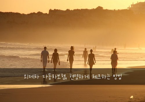외제차 자동차보험, 현명하게 체크하는 방법
