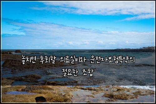  놓치면 후회할 의료실비와 운전자보험특약의 절묘한 조합