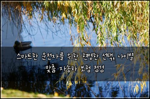  스마트한 운전자를 위한 현명한 선택, 나이별 맞춤 자동차 보험 점검