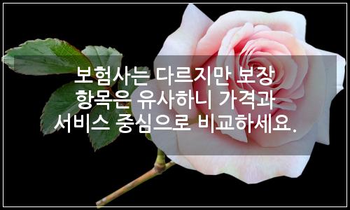 오늘의 이미지