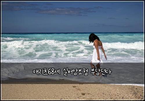 ๋งค๋ฆฌ์ธ 68์ธ ์ค๋ฒ์๋ณดํ ๋ถ๋ด๋๋ค