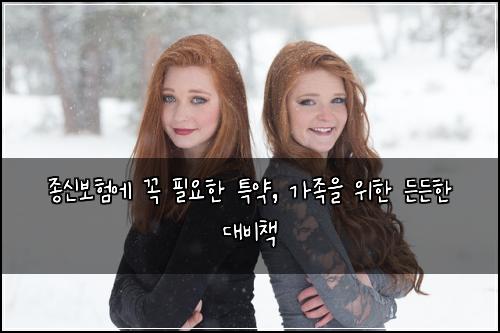 종신보험에 꼭 필요한 특약, 가족을 위한 든든한 대비책
