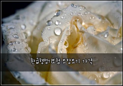 환급형정기보험 보장보기  가격