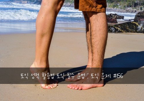 토익 성적 활용법 토익 필수 문법 : 토익 문제 #156