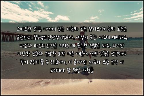  스마트한 선택, 나에게 맞는 자동차 보험 알아보기

자동차 보험은 운전자의 필수적인 안전장치입니다. 예상치 못한 사고에 대비하고, 자신과 타인의 안전을 지키는 데 중요한 역할을 하죠. 하지만 다양한 상품과 복잡한 보장 내용 때문에 어떤 상품을 선택해야 할지 고민이 될 수 있습니다. 이 글에서는 자동차 보험 선택 시 고려해야 할 핵심 사항들