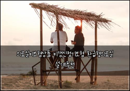 의료실비보험상품 비갱신정기보험 환급형의료실 설계추천