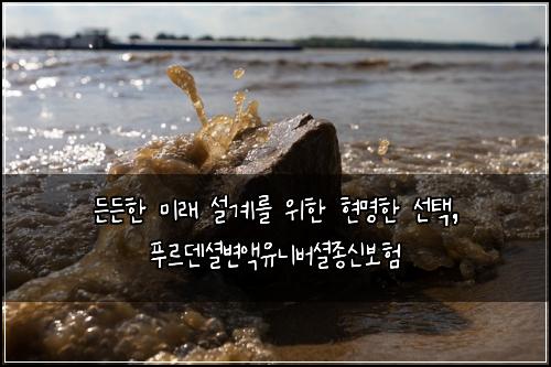  든든한 미래 설계를 위한 현명한 선택, 푸르덴셜변액유니버셜종신보험