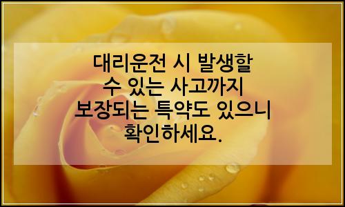 오늘의 이미지