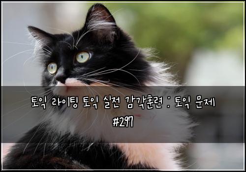 토익 라이팅 토익 실전 감각훈련 : 토익 문제 #297