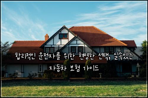  합리적인 운전자를 위한 현명한 선택, 실속있는 자동차 보험 가이드