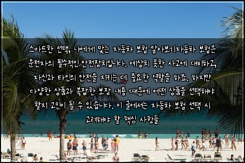  스마트한 선택, 나에게 맞는 자동차 보험 알아보기

자동차 보험은 운전자의 필수적인 안전장치입니다. 예상치 못한 사고에 대비하고, 자신과 타인의 안전을 지키는 데 중요한 역할을 하죠. 하지만 다양한 상품과 복잡한 보장 내용 때문에 어떤 상품을 선택해야 할지 고민이 될 수 있습니다. 이 글에서는 자동차 보험 선택 시 고려해야 할 핵심 사항들