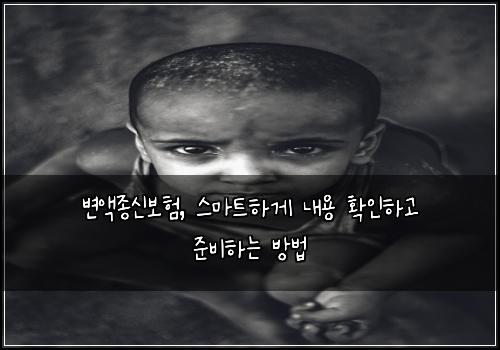변액종신보험, 스마트하게 내용 확인하고 준비하는 방법