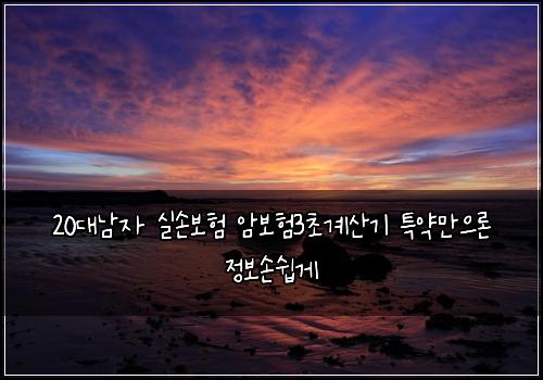 20대남자 실손보험 암보험3초계산기 특약만으론 정보손쉽게