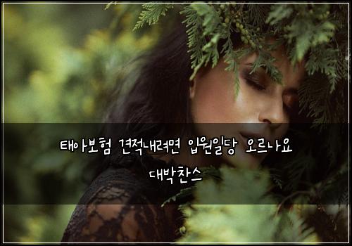 ํ์๋ณดํ ๊ฒฌ์ ๋ด๋ ค๋ฉด ์
์์ผ๋น ์ค๋ฅด๋์ ๋๋ฐ์ฐฌ์ค