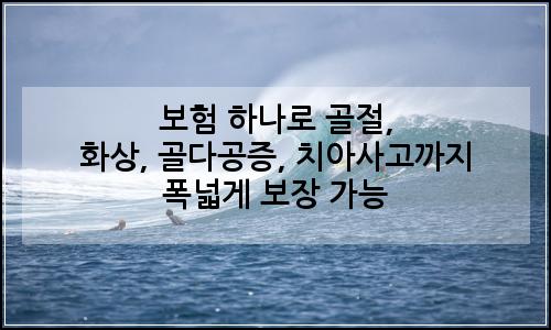 오늘의 이미지