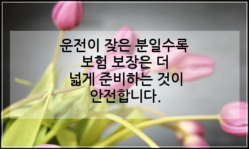 오늘의 이미지