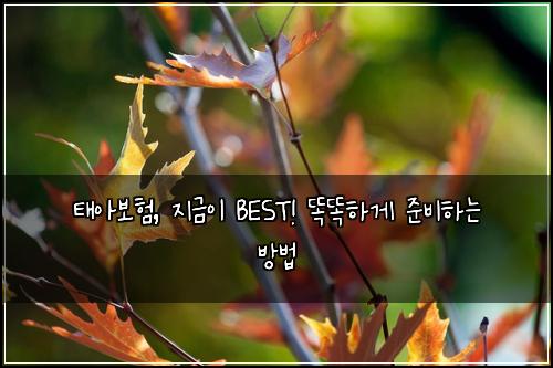 태아보험, 지금이 BEST! 똑똑하게 준비하는 방법