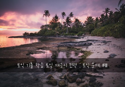 토익 기출 학습 토익 재응시 전략 : 토익 문제 #111