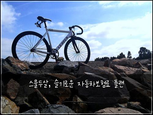  스물두살, 슬기로운 자동차보험료 플랜