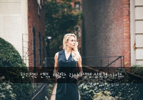  합리적인 선택, 저렴한 라이나생명 암보험 가이드