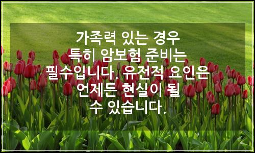 오늘의 이미지