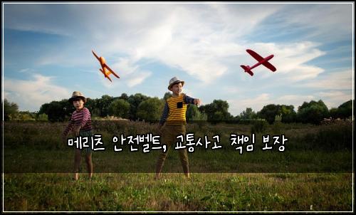 메리츠 안전벨트, 교통사고 책임 보장