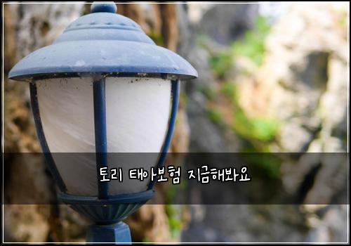 토리 태아보험 지금해봐요 