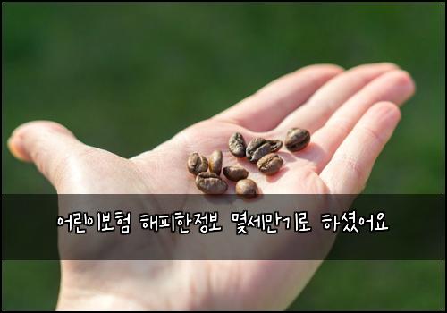 어린이보험 해피한정보  몇세만기로 하셨어요