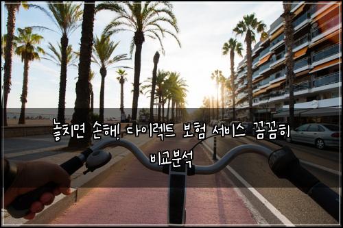  놓치면 손해! 다이렉트 보험 서비스 꼼꼼히 비교분석
