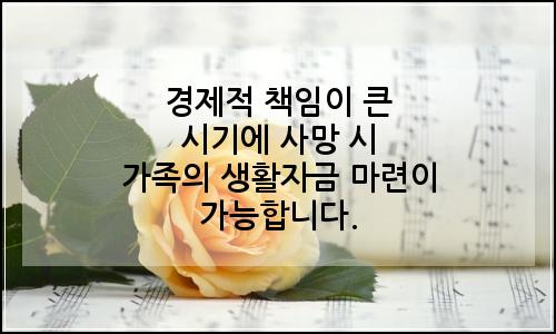 오늘의 이미지