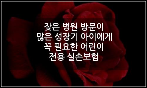 오늘의 이미지