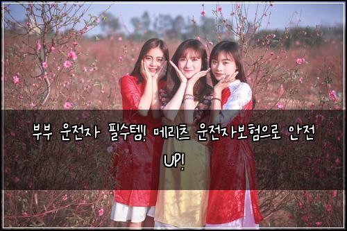 부부 운전자 필수템! 메리츠 운전자보험으로 안전 UP!