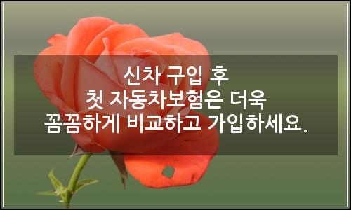 오늘의 이미지