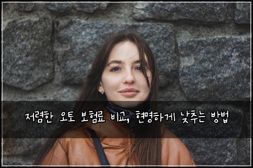  저렴한 오토 보험료 비교, 현명하게 낮추는 방법
