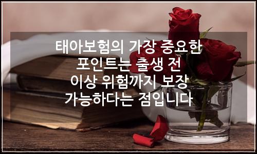 오늘의 이미지