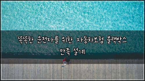  똑똑한 운전자를 위한 자동차보험 블랙박스 만족 설계
