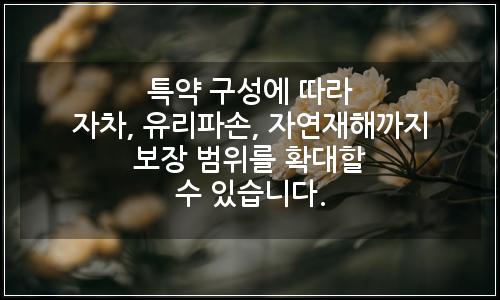 오늘의 이미지