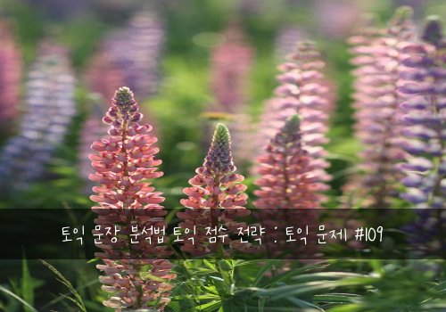 토익 문장 분석법 토익 점수 전략 : 토익 문제 #109