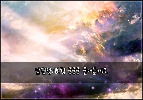 남편정기보험 굿굿굿  물어볼게요