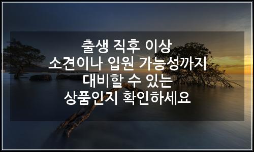 오늘의 이미지