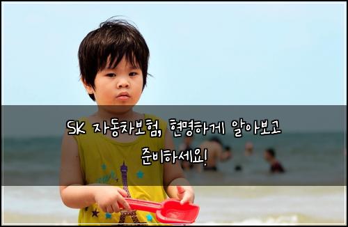 SK 자동차보험, 현명하게 알아보고 준비하세요!