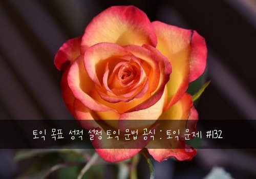 토익 목표 성적 설정 토익 문법 공식 : 토익 문제 #132